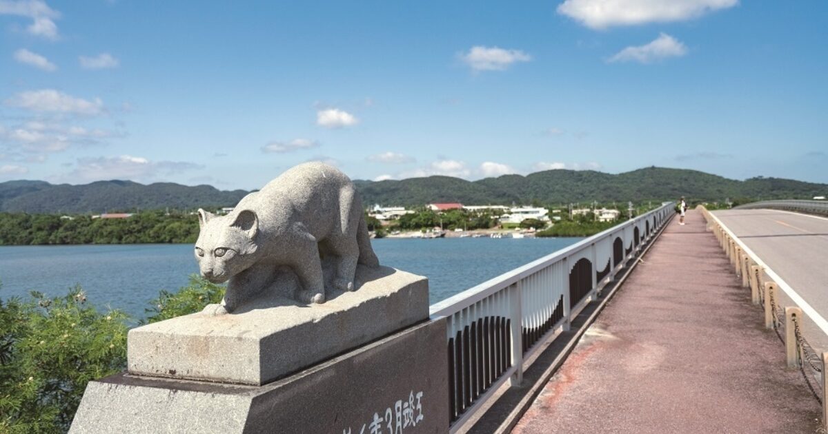 仲間橋030104_1.jpg
