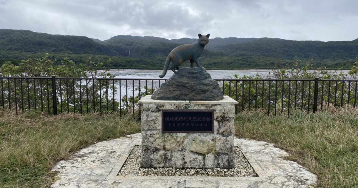 西表の自然に佇むヤマネコ像 | 島時間トピックス | 沖縄 八重山 島時間
